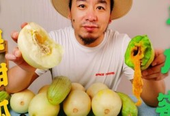 网红吃瓜在哪买,揭秘热门网红瓜源购买攻略