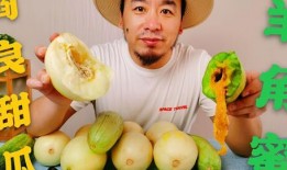 网红吃瓜在哪买,揭秘热门网红瓜源购买攻略