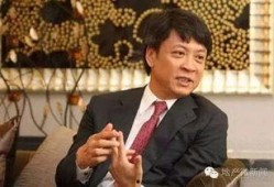 孙宏斌爆料完整视频在线观看,揭秘商业帝国背后的真相