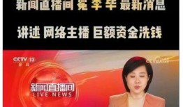 央视新闻爆料王冕视频播放,真相令人震惊