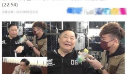 王大锤拄拐爆料视频大全,揭秘娱乐圈幕后真相