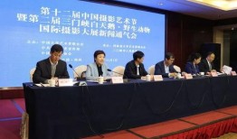 三门峡热点爆料新闻,最新热点爆料，揭秘事件背后真相