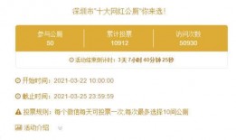 广东网红爆料新闻事件最新