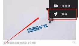 爆料视频怎么投稿赚钱,轻松赚取收益的秘诀