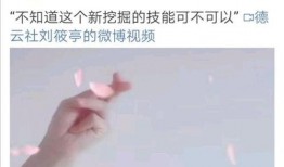 刘筱亭最新爆料视频,事件背后惊人真相