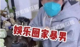 娱乐圈爆料家暴男星是谁,家暴男星身份揭晓，真相令人震惊