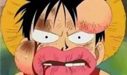 路飞爆料身世视频合集,揭秘海贼王世界的惊天秘密