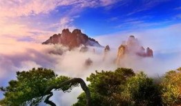 三清山旅游爆料最新消息,最新爆料揭示神秘美景与特色活动