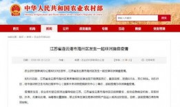 搜索新闻爆料农村生活,揭秘乡村振兴下的美好变迁