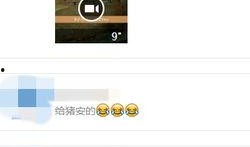 幸福的猪的爆料视频播放,视频爆料带你领略猪界幸福时光