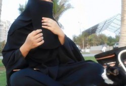 娱乐吃瓜君视频