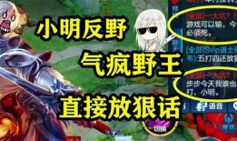 王者大盗爆料小明视频播放,小明视频播放背后的惊人真相